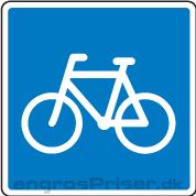 Anb rute cyklister E21.1